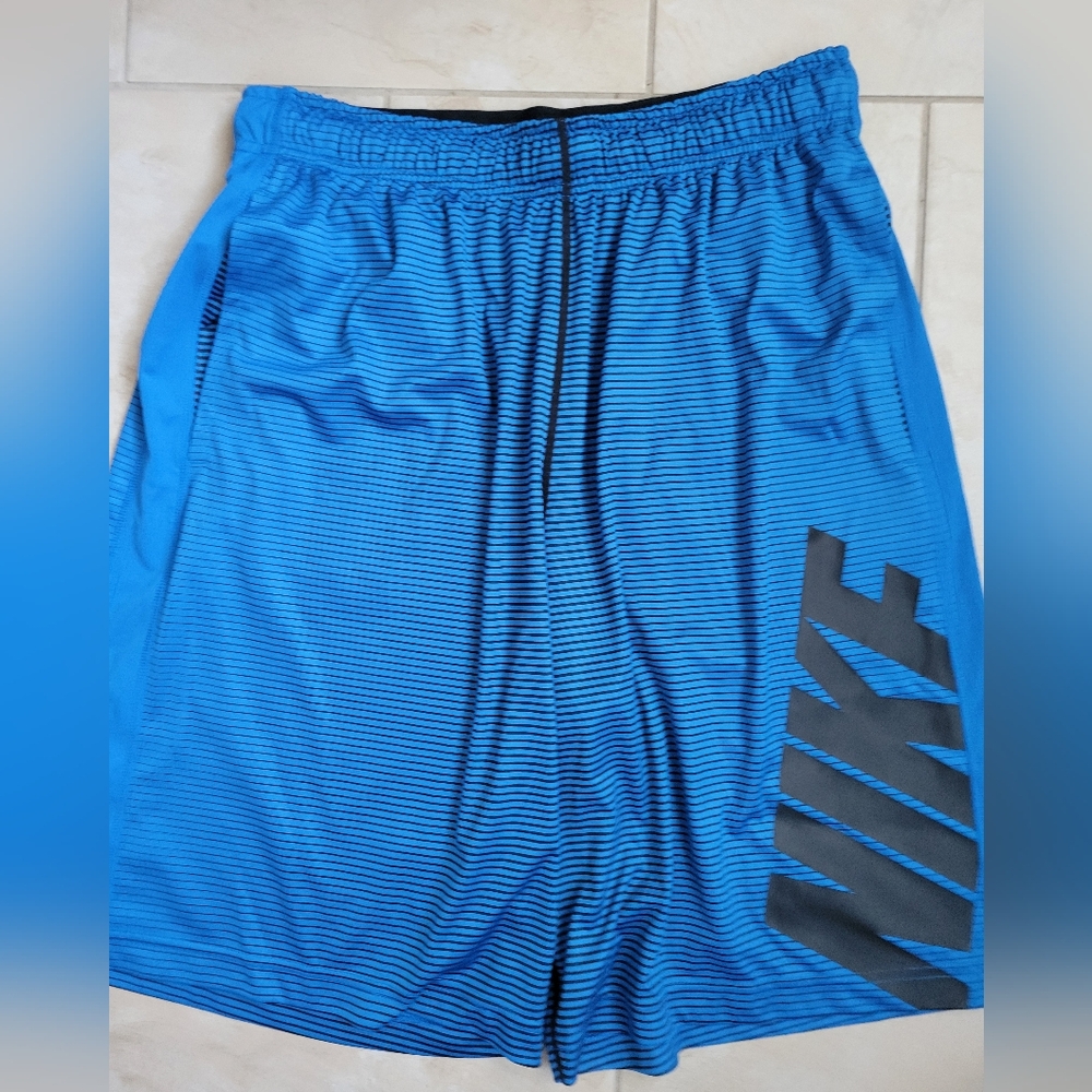 Mens Nike dri fit shorts